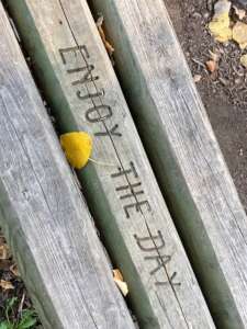 enjoy-the-day-alvari-coaching